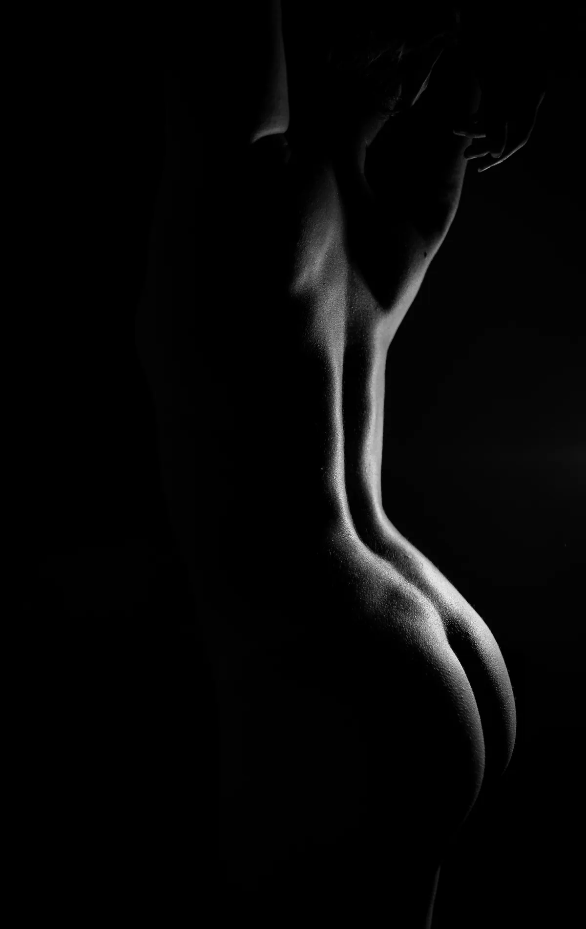 Vertical bodyscape silhouette showing the profile and curves of a standing woman